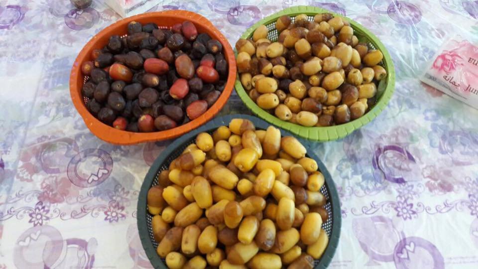 فندق ومطعم ريماس