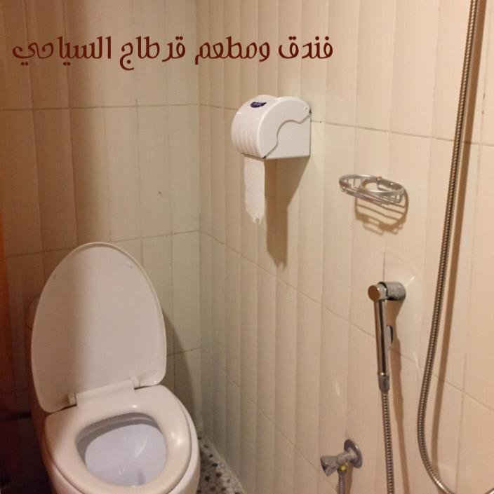 فندق قرطاج