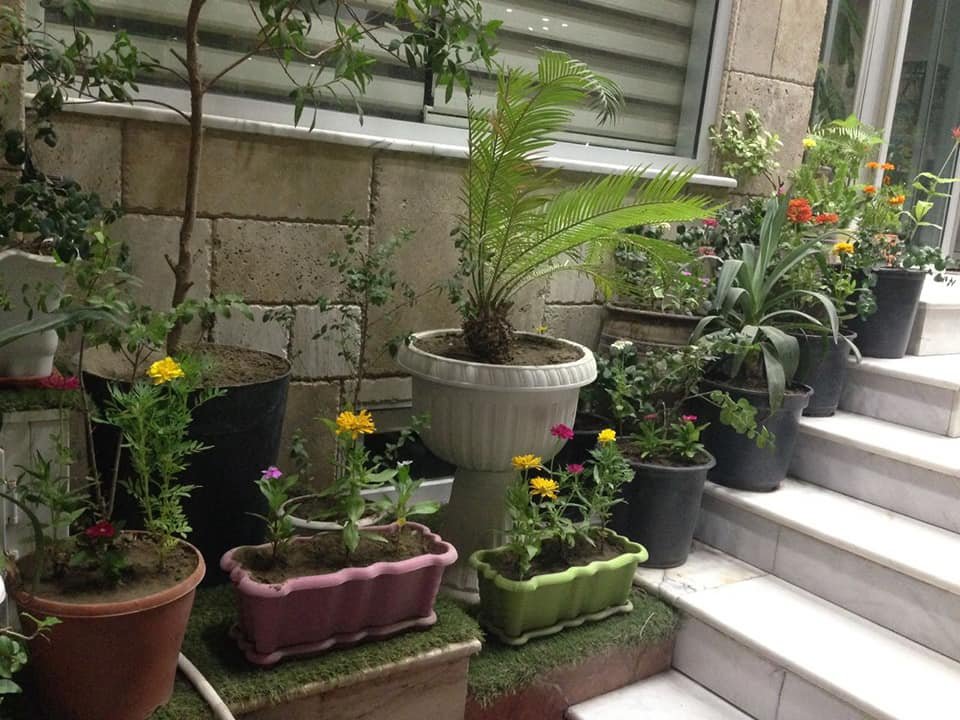 فندق السلطان